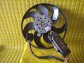 Item:243042