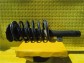 Item:245618