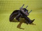 Item:244666