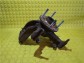Item:244666