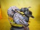 Item:247190