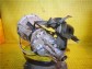 Item:247190