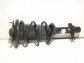 Item:245968