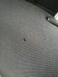 Item:246241