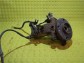 Item:250027
