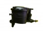 Item:248431