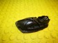 Item:249323
