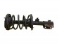 Item:249735