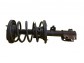 Item:249735