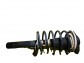Item:248599