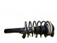 Item:248599