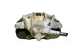 Item:248596