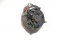 Item:250519