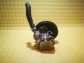 Item:250280