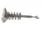 Item:343634