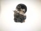 Item:343267