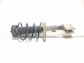 Item:343946