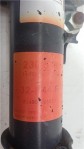 Item:348909
