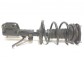 Item:349009