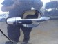 Item:348149