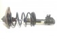Item:349031