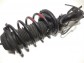 Item:349181