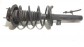 Item:349241