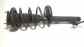 Item:349242