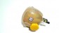 Item:347617