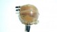 Item:347617