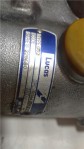 Item:347650