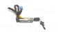 Item:349725