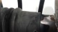 Item:350388