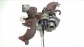 Item:350439