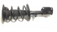 Item:350568
