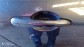 Item:350613