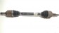 Item:350646