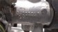 Item:350719