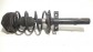 Item:350669